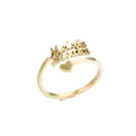 anillo-2-numeros-3-1