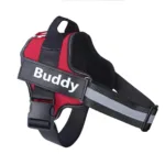 arnes-para-perro-personalizado-4-1