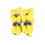 Calcetines para Perros - Photo 5