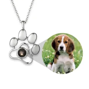 collar-con-foto-dentro-1-1