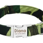 Collar con Nombre de Perro - Photo 5