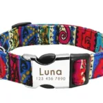 Collar con Nombre de Perro - Photo 7