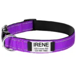 Collar con Nombre Perro - Photo 10