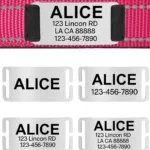 Collar con Nombre Perro - Photo 11