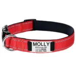 Collar con Nombre Perro - Photo 2