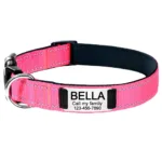 Collar con Nombre Perro - Photo 4