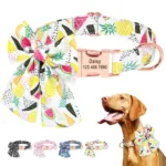 collar-con-numero-de-perro-1-1