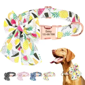collar-con-numero-de-perro-1-1