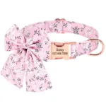 collar-con-numero-de-perro-3-1