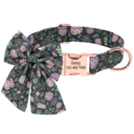 collar-con-numero-de-perro-5-1