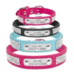 collar-con-numero-para-gato-5-1