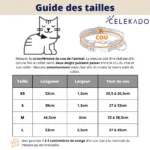 collar-con-numero-para-gato-6-1