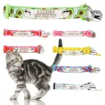 collar-de-gatito-personalizado-1-1
