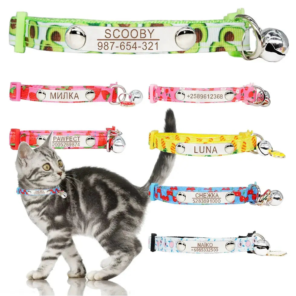 collar-de-gatito-personalizado-1-1