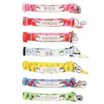collar-de-gatito-personalizado-2-1
