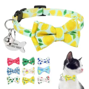 collar-de-gato-con-medalla-grabada-1-1