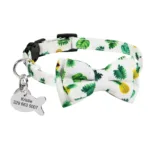 collar-de-gato-con-medalla-grabada-3-1