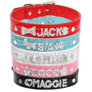 collar-de-gato-con-strass-personalizable-1-1