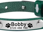 collar-de-gato-de-cuero-personalizable-3-1