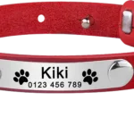 collar-de-gato-de-cuero-personalizable-4-1