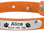 collar-de-gato-de-cuero-personalizable-5-1