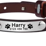 collar-de-gato-de-cuero-personalizable-8-1