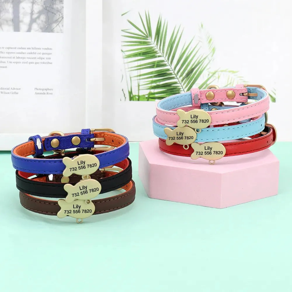 collar-de-gato-de-cuero-personalizado-1-1
