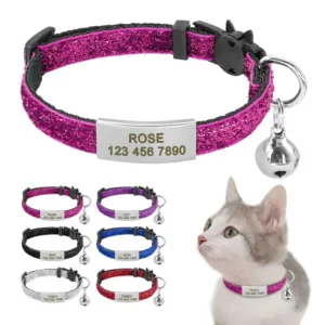 collar-de-gato-personalizable-antitrauma-1-1