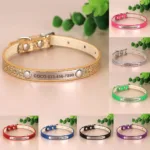 collar-de-gato-personalizado-1-1