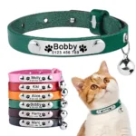 Collar de Gato Personalizado - Photo 1