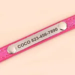 collar-de-gato-personalizado-2-1