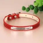 collar-de-gato-personalizado-3-1