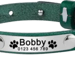 Collar de Gato Personalizado - Photo 3