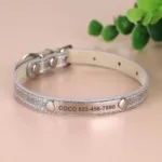 collar-de-gato-personalizado-4-1