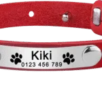 Collar de Gato Personalizado - Photo 4