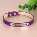collar-de-gato-personalizado-5-1