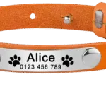 Manta con Fotografias - Photo 2