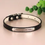 collar-de-gato-personalizado-6-1