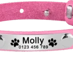 Collar de Gato Personalizado - Photo 6