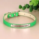 collar-de-gato-personalizado-7-1