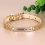 collar-de-gato-personalizado-9-1