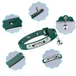 Collar de Gato Personalizado - Photo 9