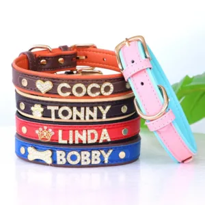 collar-de-gato-personalizado-con-numero-1-1