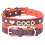 collar-de-gato-personalizado-con-numero-2-1