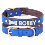 collar-de-gato-personalizado-con-numero-3-1