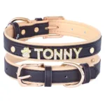 collar-de-gato-personalizado-con-numero-4-1