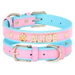 collar-de-gato-personalizado-con-numero-5-1