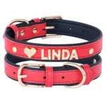 collar-de-gato-personalizado-con-numero-6-1