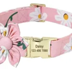 Collar de Perro con Nombre - Photo 5