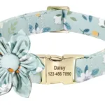 Pulsera Proyección Foto - Photo 2